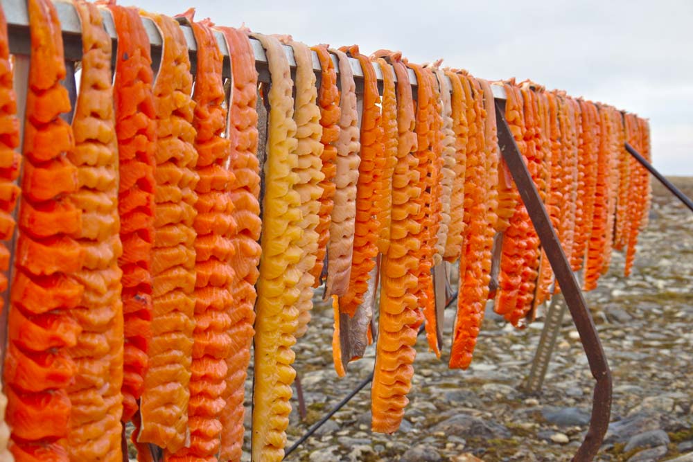 FISHES - Favoriser la pêche autochtone à petite échelle pour la santé, l’économie et la sécurité alimentaire