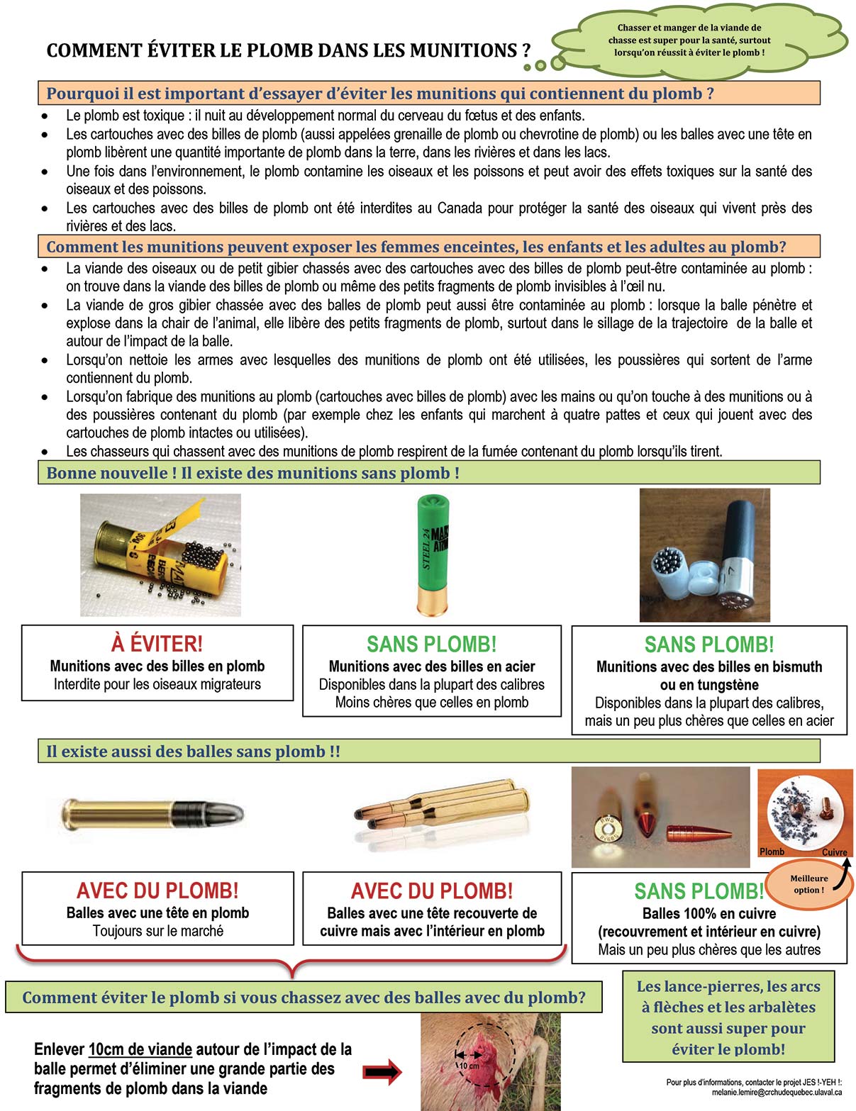 L'impact des munitions de plomb sur la santé